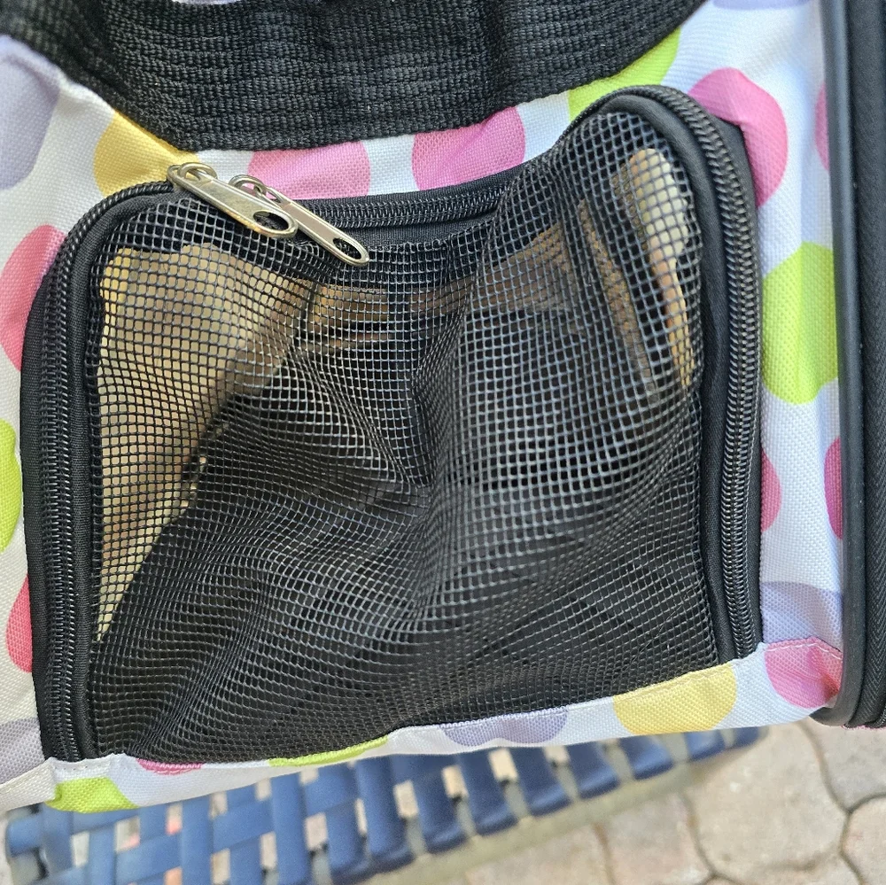 Dog travel bag